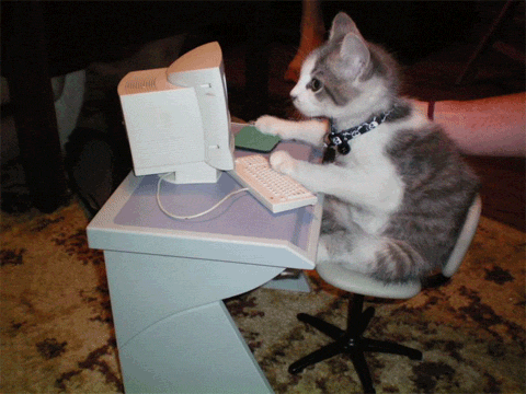 Animation of a cat typing on a computer