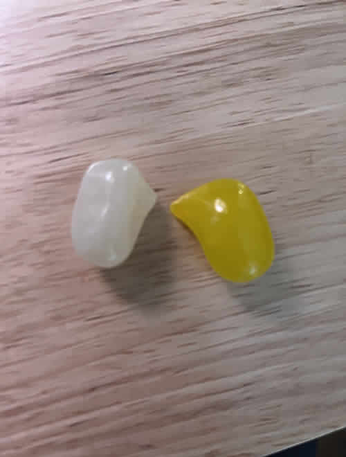 Two examples (one yellow, one white) of malformed Howe Spiced Jumbo Jelly Beans with pointy protrusions