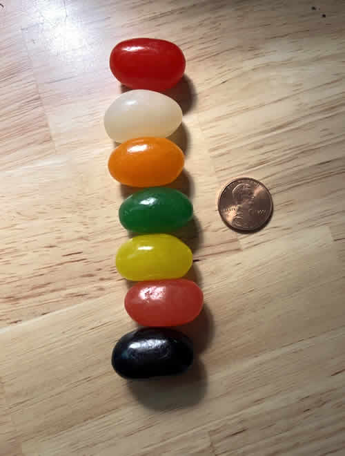 One of each flavor of Howe Spiced Jumbo Jelly Beans arranged in a line with a United States penny coin for size comparison